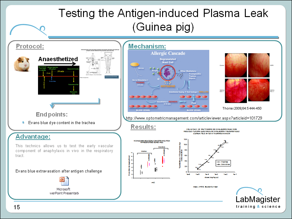 Antigen induced plasma extravasation