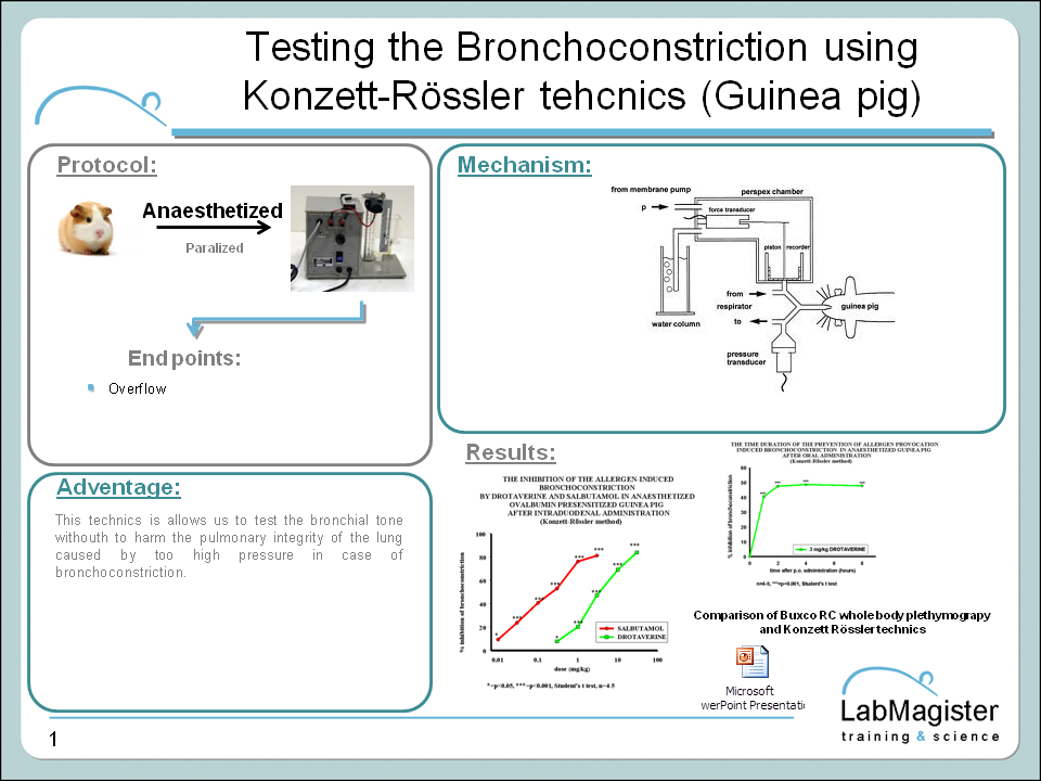 Konzett-Rössler bronchoconstriction