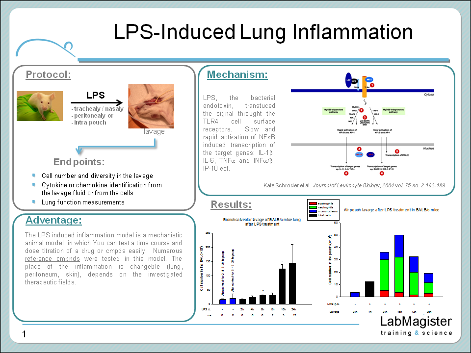 LPS induced lung inflammation COPD