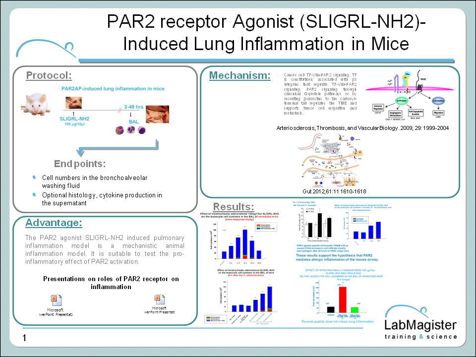 PAR2 agonist induced lung inflammation in mice