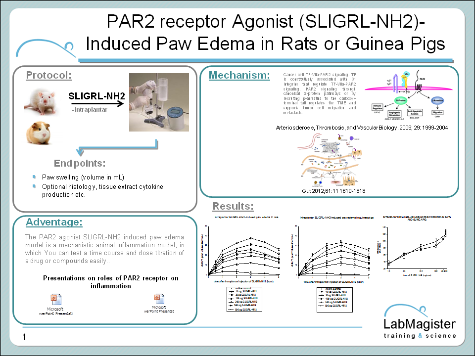 PAR2 agonist induced paw edema in rats or gp