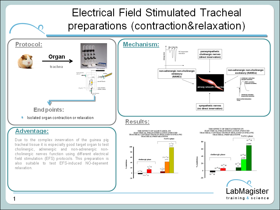 Labmagister EFS tracheal preparation