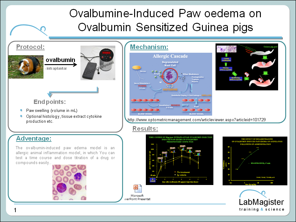 ovalbumin induced paw oedema in GP