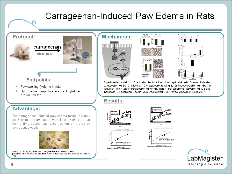 carrageenan induced paw edema