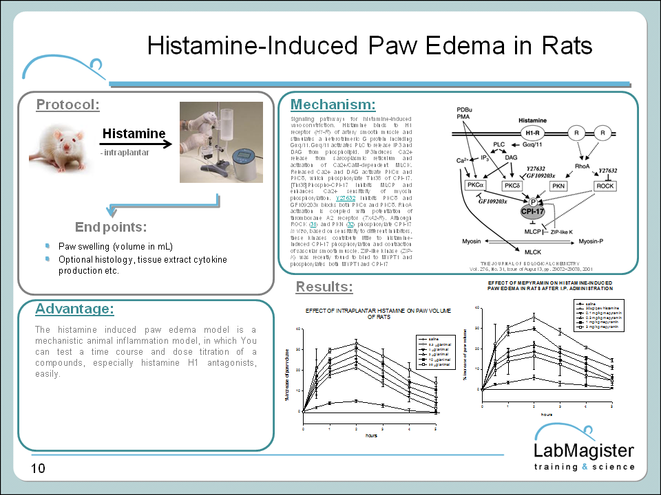 histamiine induced paw edema