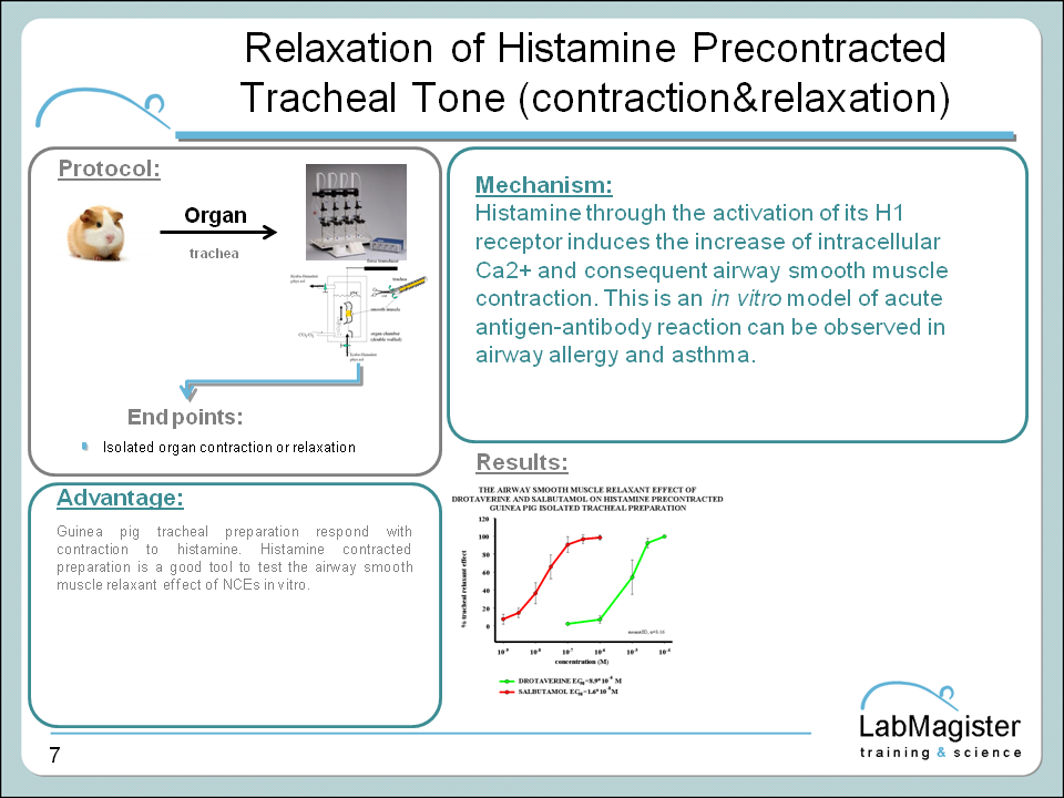 histamine precontracted tracheal relaxartion