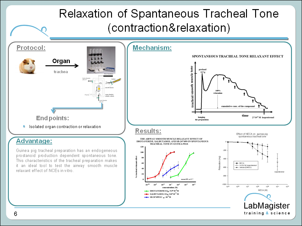 spontaneous tracheal spasm