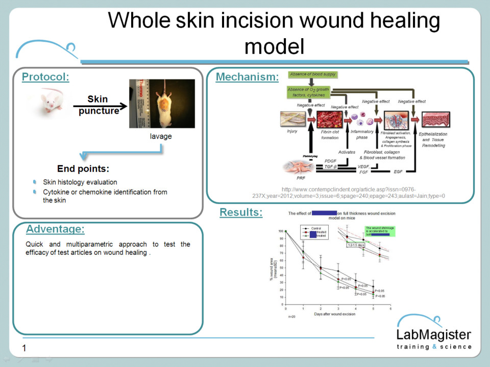 Whole skin inscision model